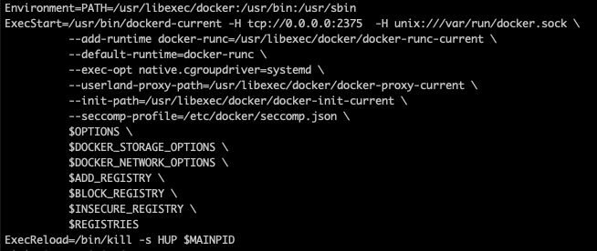 dockerConfig